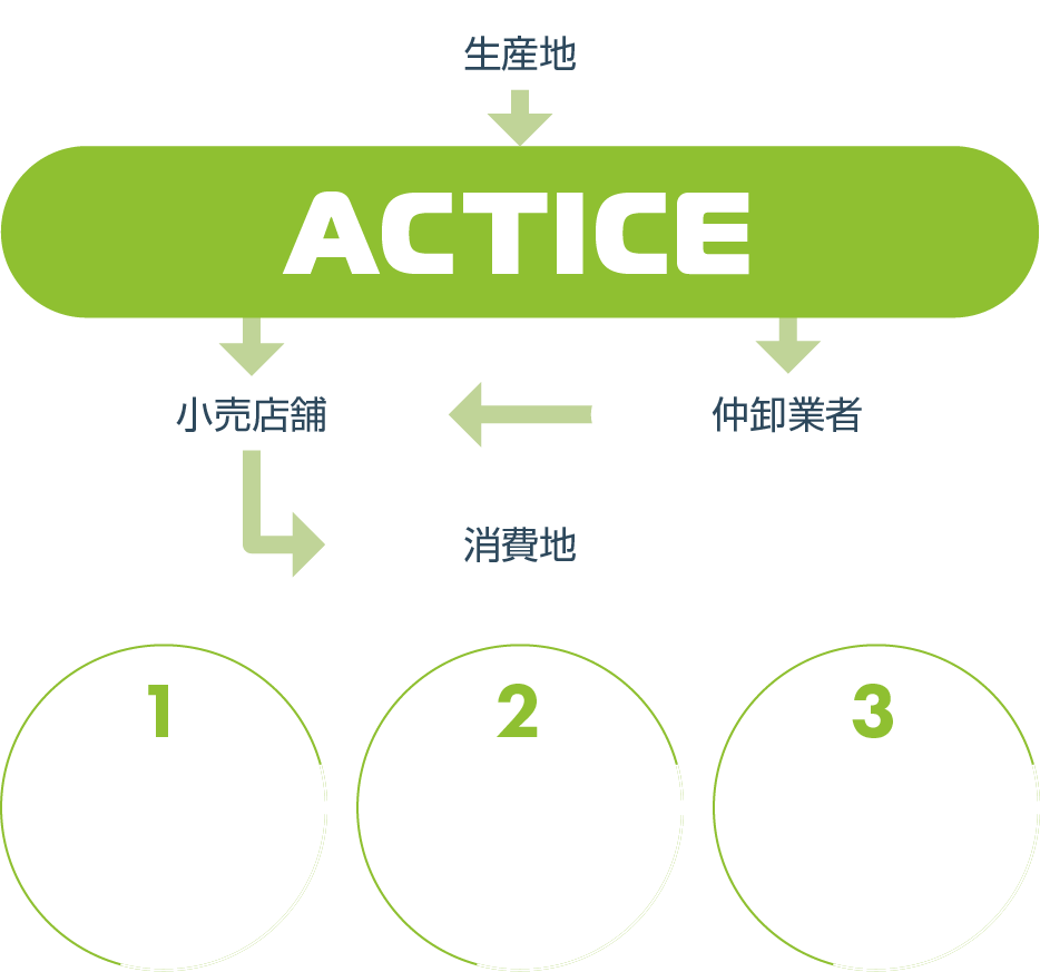 アクティスの流通経路