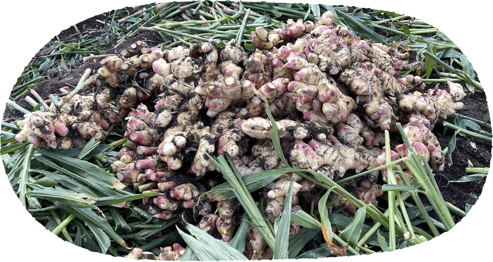 メインイメージ