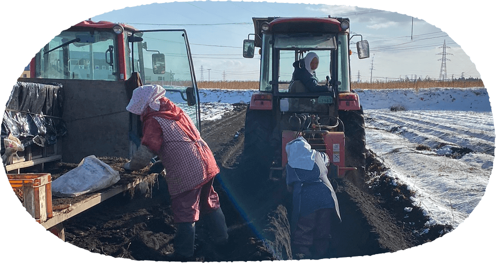 メインイメージ