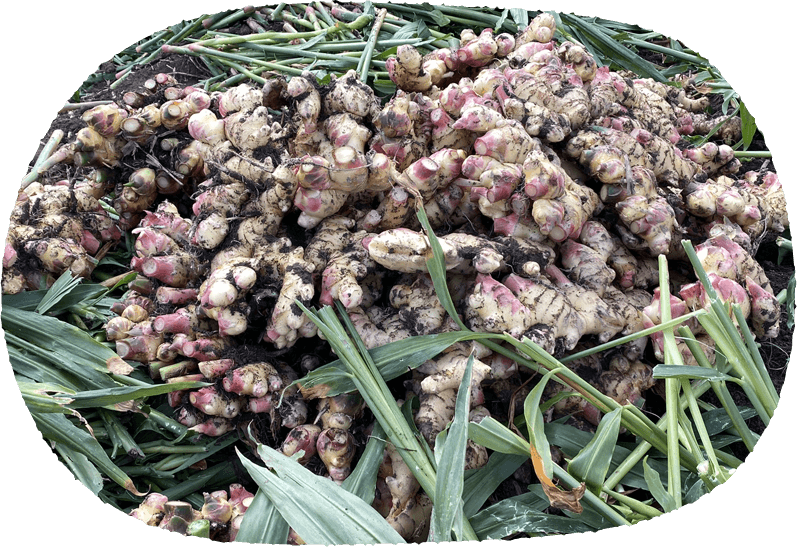 メインイメージ