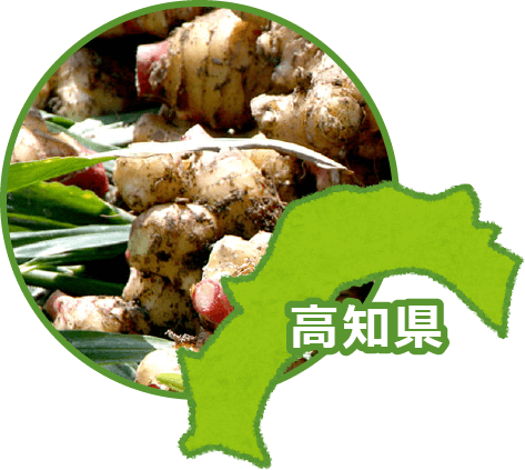 高知県